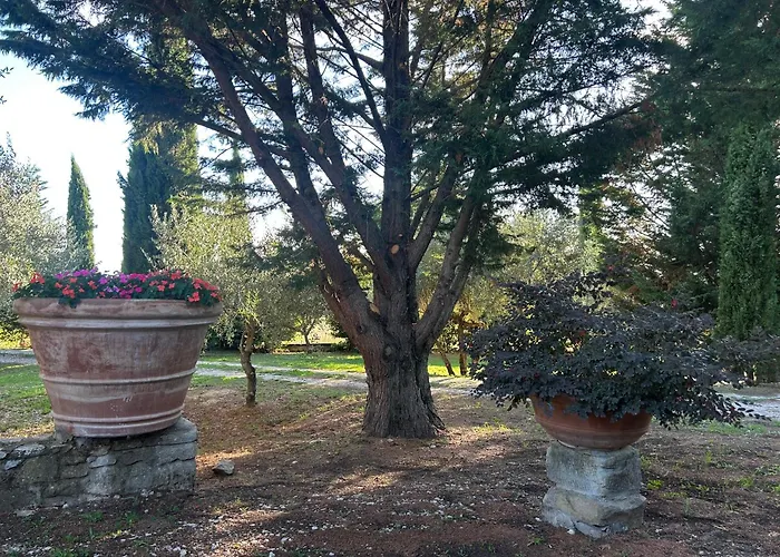 Borgo In San Angelo * Cortona